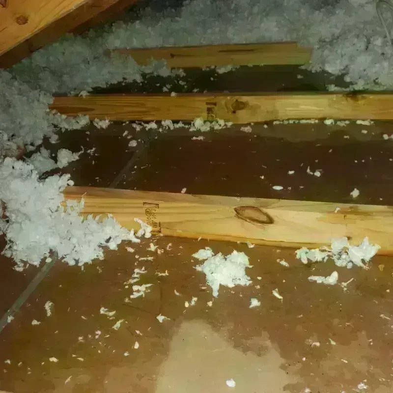 Attic Water Damage in Baylor County, TX