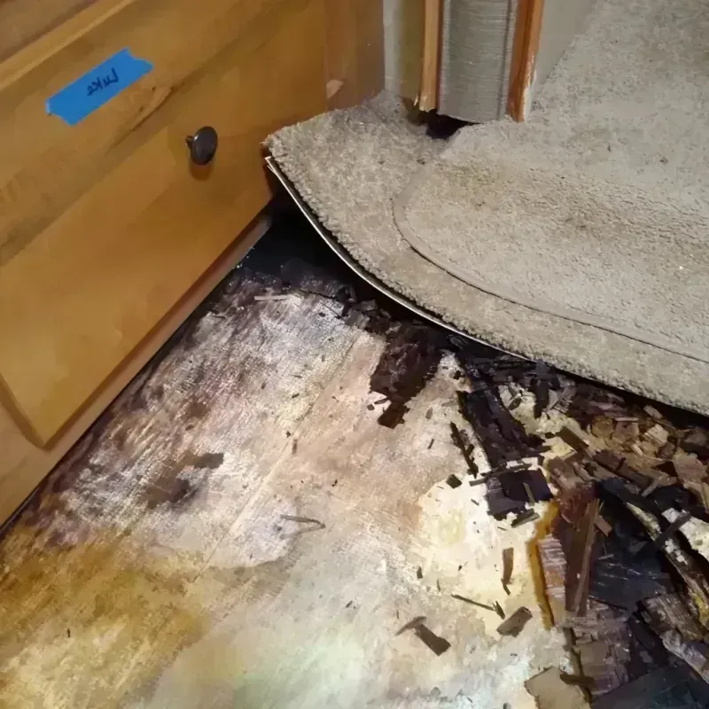 Best Wood Floor Water Damage Service in Baylor County, TX